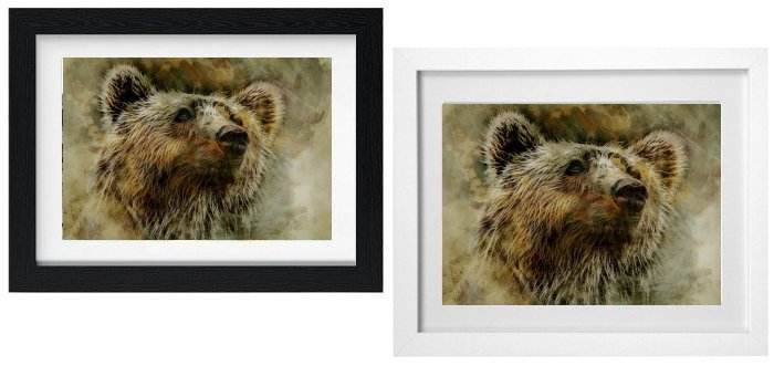 Select Your Frame